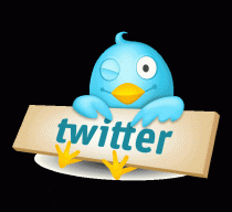 twitter-logo-bird-640x584