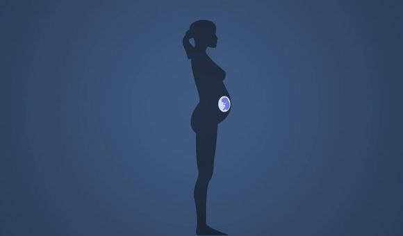 Preview thumbnail for video'Ask Smithsonian: What’s a Stone Baby?