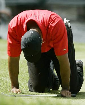 Tiger Woods on his knees