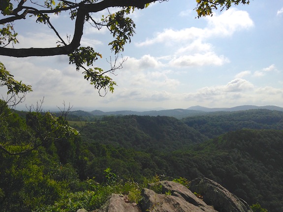 The view from the Wildcat Rocks overlook within Doughton Recreation Area.